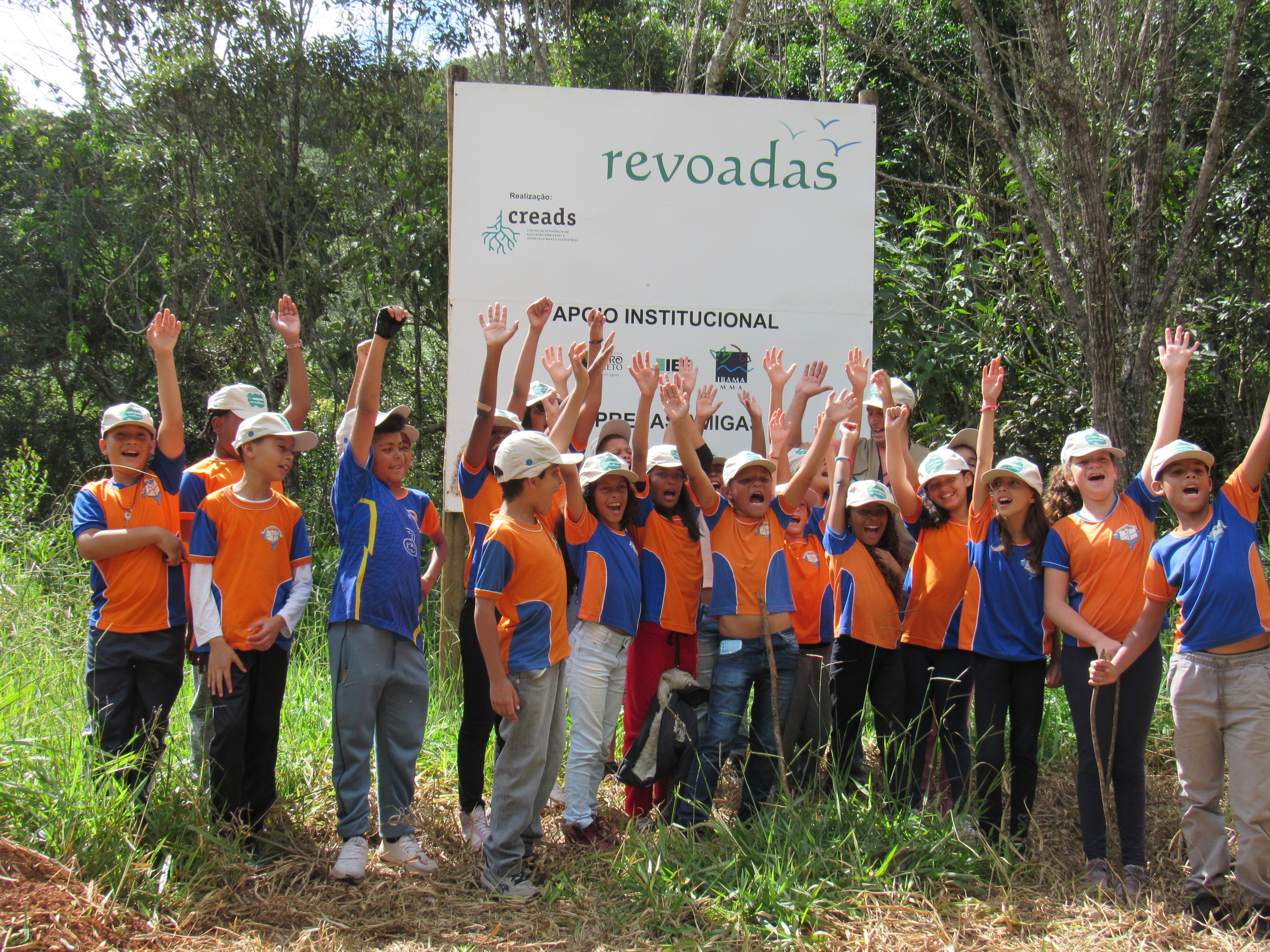 Recinto de reabilitação de aves silvestres