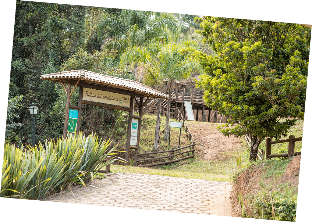 Trilhas interpretativas do CREADS