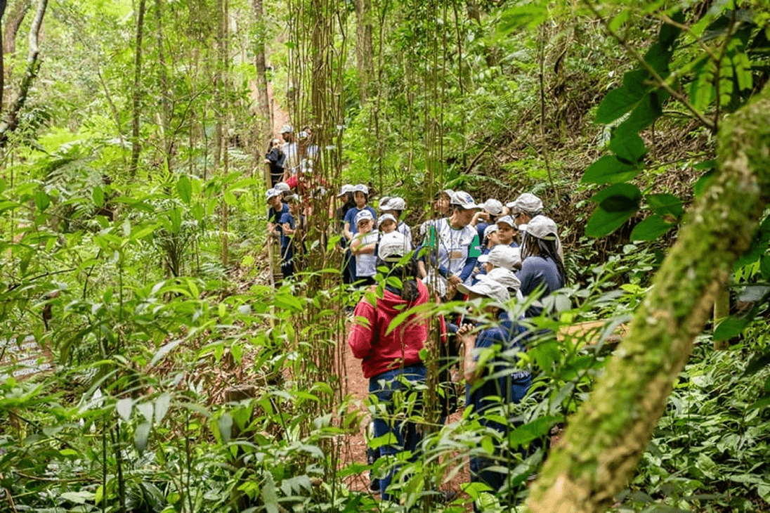 Crianças em vivência sensorial na natureza