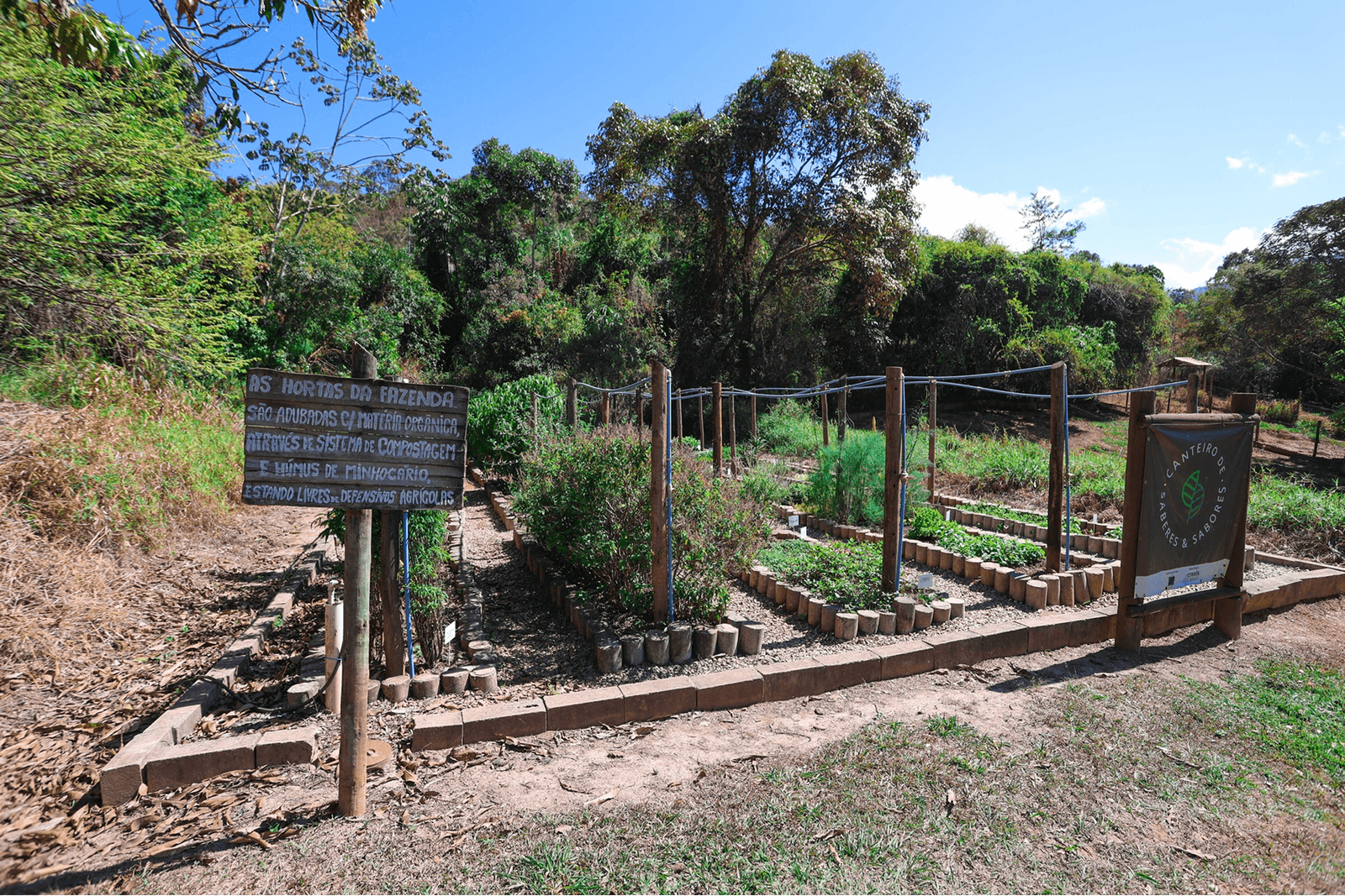 Canteiro de plantas medicinais e aromáticas do CREADS