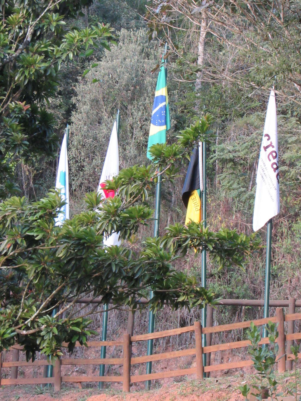 Visitantes percorrendo a trilha ecológica