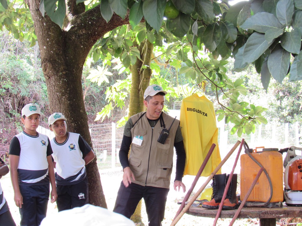 Contemplação da natureza durante a visita