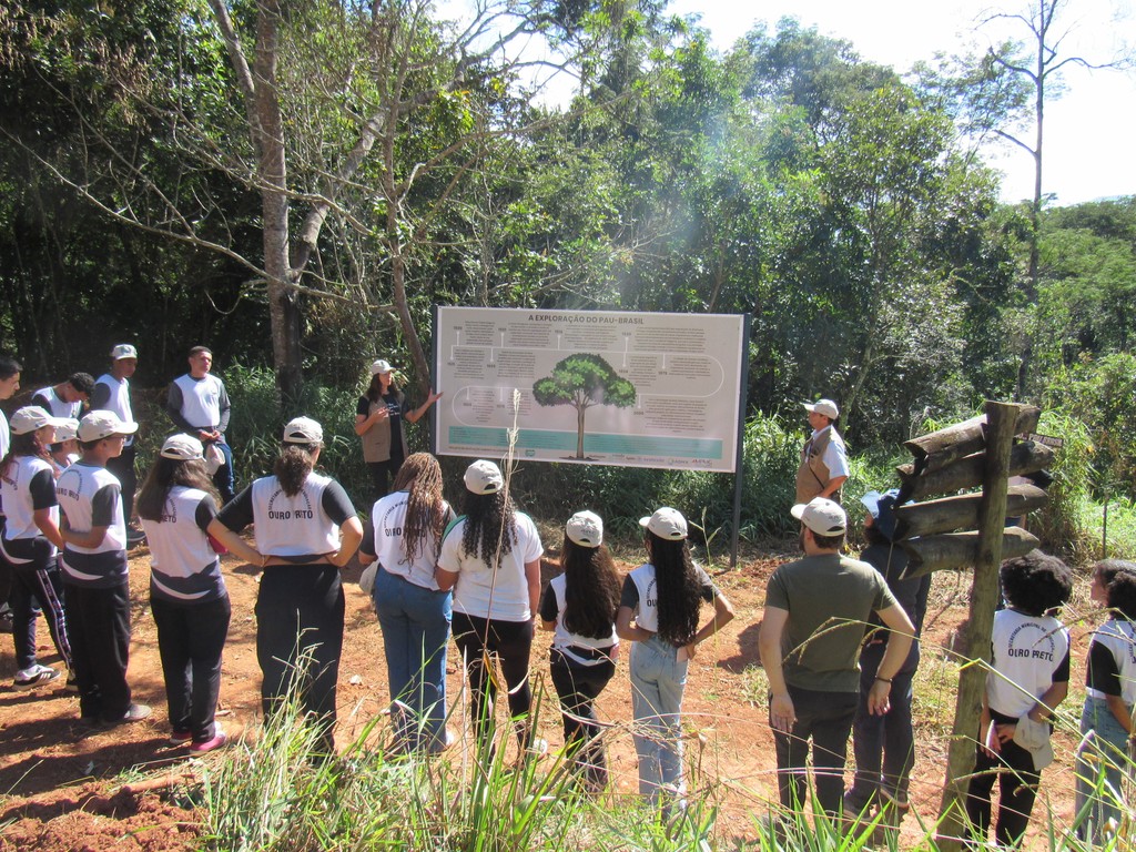Curso d'água na Fazenda Engenho D'Água